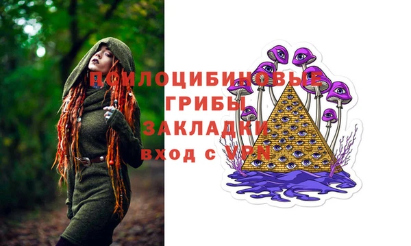 a pvp Вязники